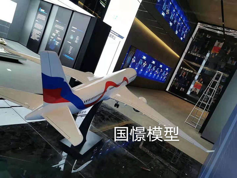桓台县飞机模型